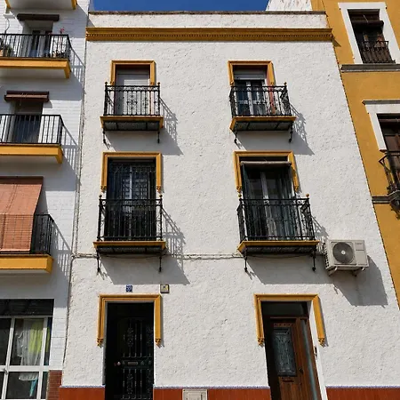 Calma Brava Sevilla